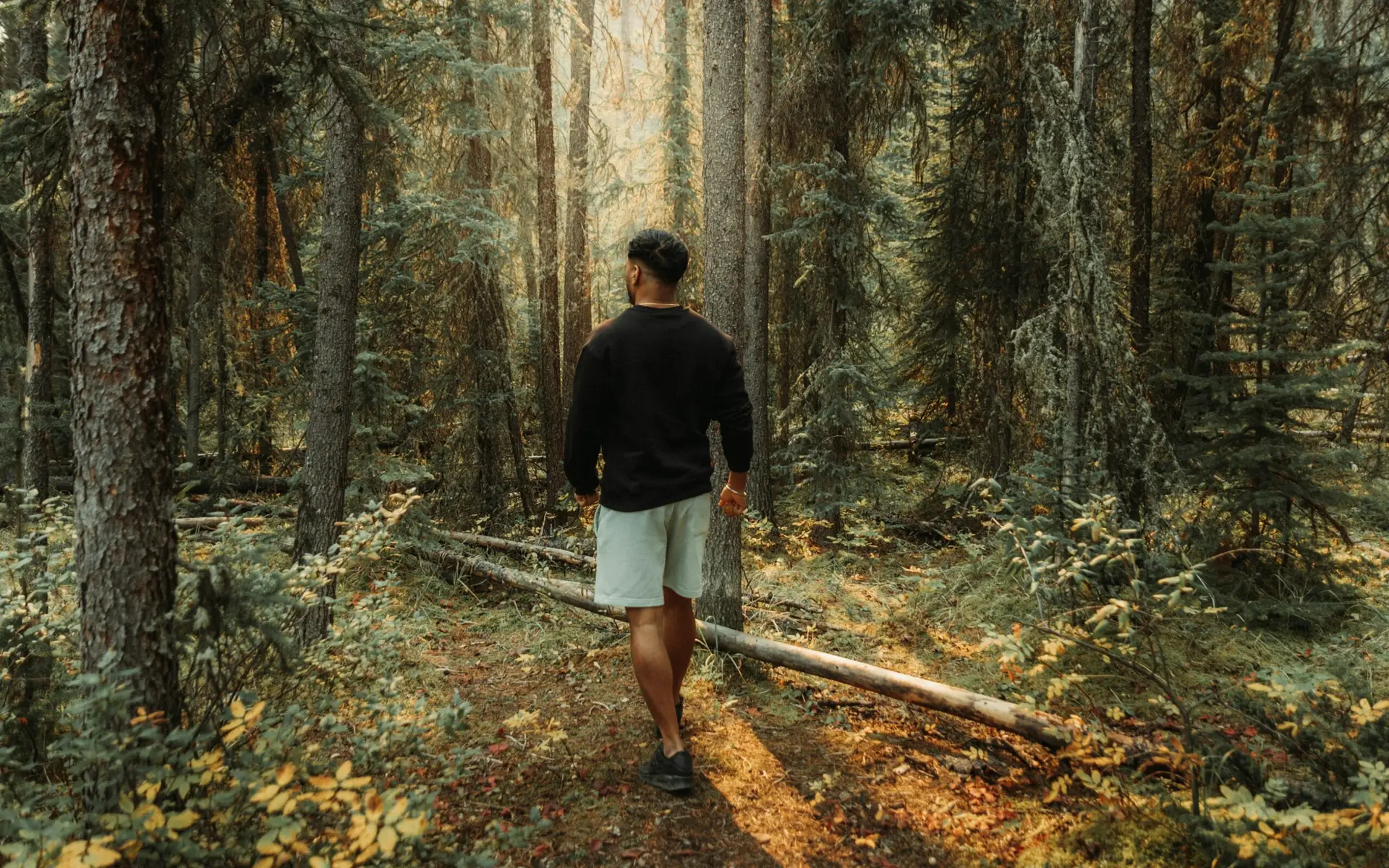 Man walking alone on a forest trail, representing self-discovery and mindfulness"
